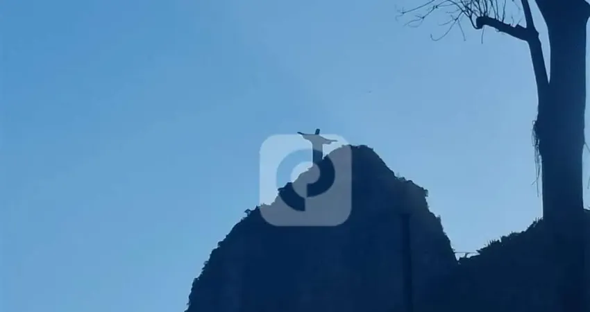 Casa com 3 quartos à venda na Rua do Humaitá, Humaitá, Rio de Janeiro