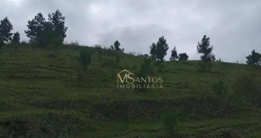 Fazenda à venda, 218000 m² por R$ 990.000,00 - Taquaraçutuba - Imaruí/SC
