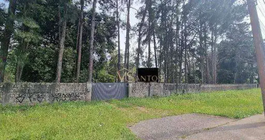 Terreno à venda, 33044 m² por R$ 21.200.000,00 - Vargem Grande - Florianópolis/SC