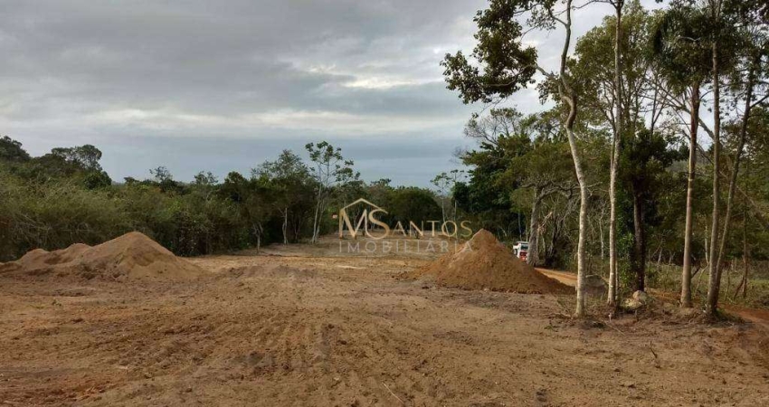 Terreno à venda, 72000 m² por R$ 8.700.000,00 - Ribeirão da Ilha - Florianópolis/SC