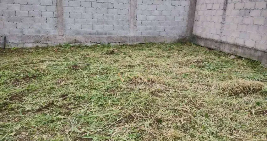 Terreno à venda, 220 m² por r$ 450.000,00 - ponta das canas - florianópolis/sc