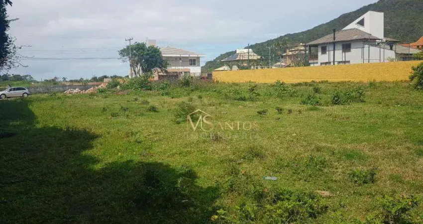 Terreno à venda, 605 m² por R$ 1.900.000,00 - Praia Brava - Florianópolis/SC