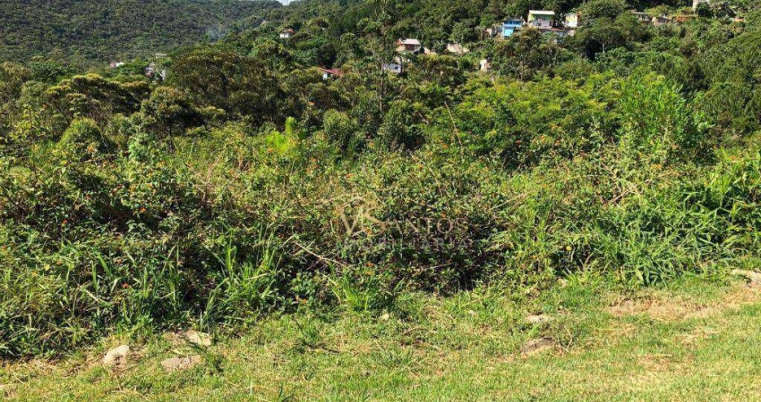 Terreno à venda, 533 m² por R$ 1.289.000,00 - Itacorubi - Florianópolis/SC