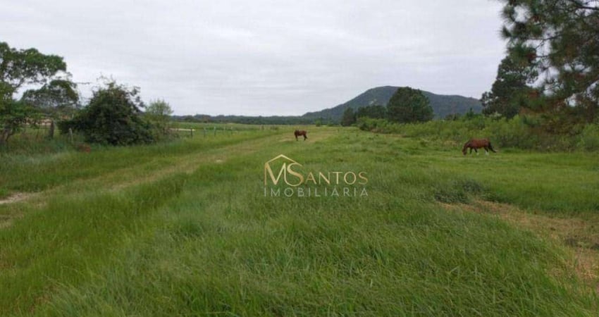 Terreno à venda, 48230 m² por R$ 12.850.000,00 - São João do Rio Vermelho - Florianópolis/SC