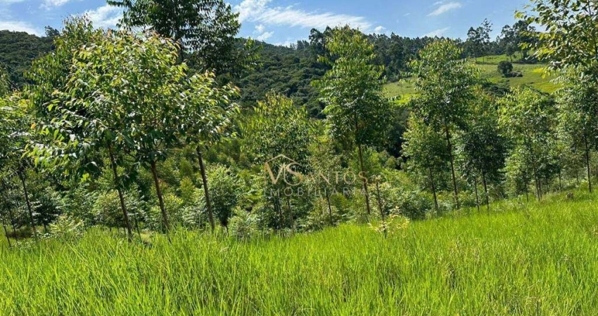 Fazenda à venda, 330000 m² por R$ 2.600.000,00 - Aratingauba - Imaruí/SC