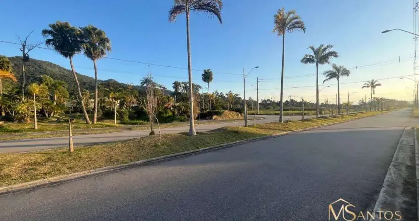 Terreno à venda, 459 m² por r$ 510.000,00 - vargem do bom jesus - florianópolis/sc