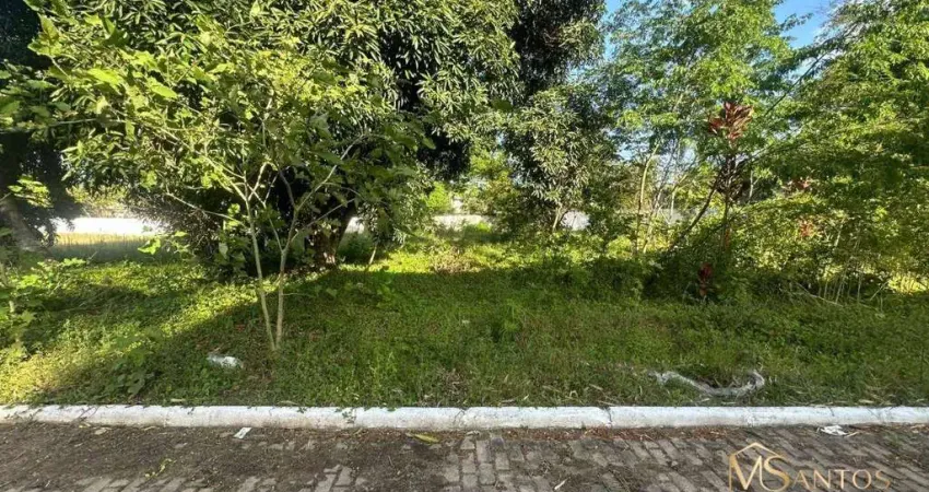 Terreno à venda, 454 m² por r$ 600.000 - ratones - florianópolis/sc