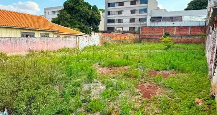 Zona 04 - terreno perfeito - 600,00 m² - imperdível - portão do country club  -  sol da manhã - meio de quadra