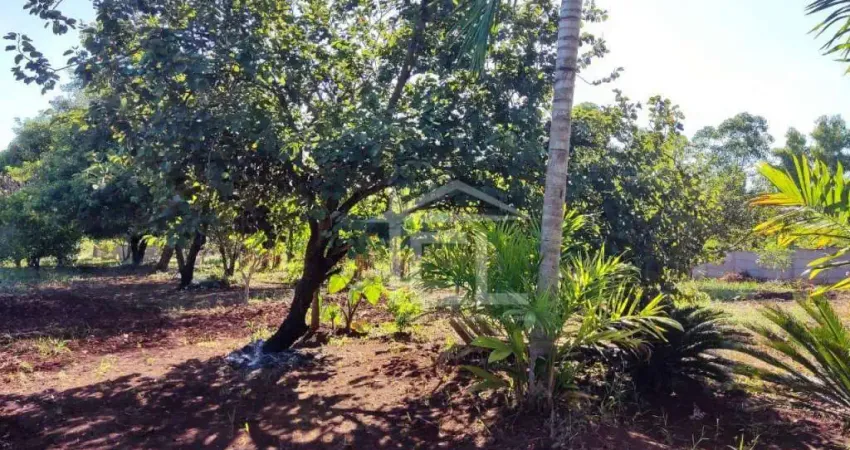Chácara à venda, 20012 m² por R$ 1.200.000,00 - Fazenda Nata - Londrina/PR