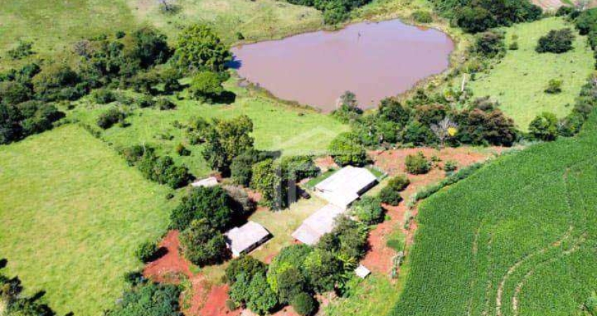 Sítio à venda, 60000 m² por R$ 1.250.000,00 - Lerroville - Londrina/PR