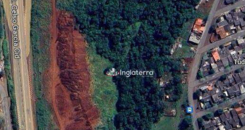 Área à venda, 60083 m² por R$ 24.033.380,00 - Ribeirão do Cafezal - Londrina/PR