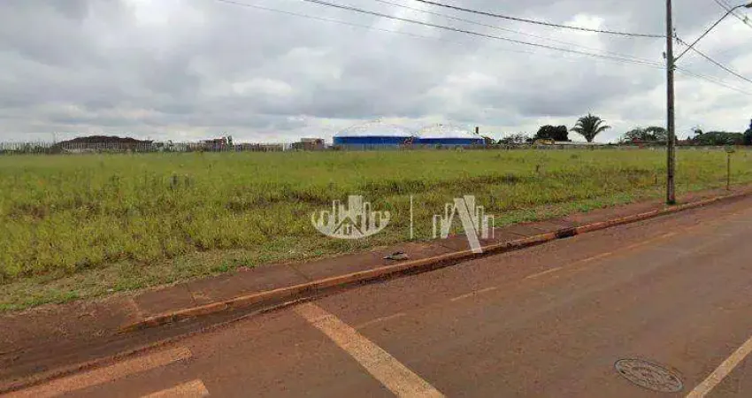 Terreno para alugar, 7000 m² - Ouro Branco - Londrina/PR