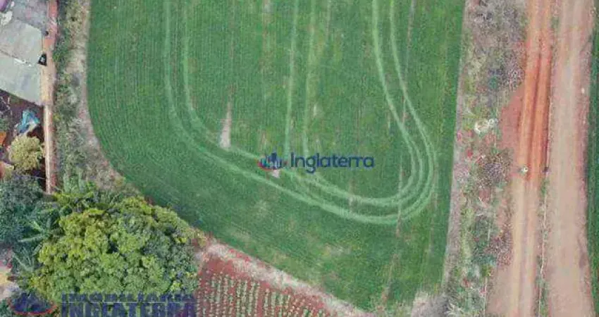 Chácara à venda, 18770 m² por R$ 900.000,00 - Nova America da Colina - Nova America da Colina/PR
