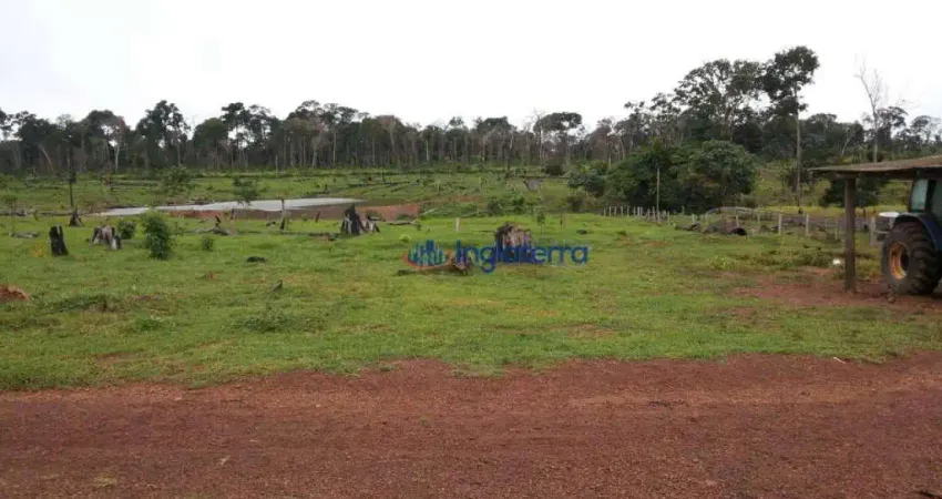 Fazenda à venda, 14520000 m² por R$ 18.200.000,00 - São Francisco - Óbidos/PA