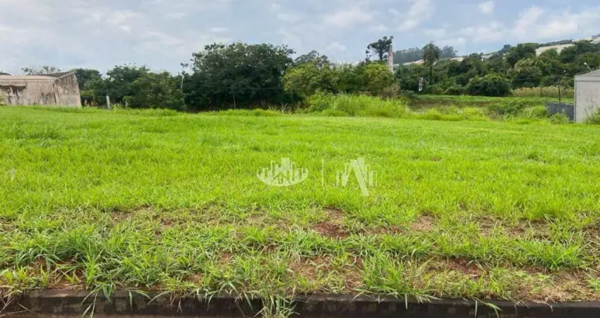 Terreno à venda, 250 m² por R$ 140.000,00 - Pacaembu - Londrina/PR