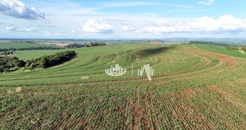 Fazenda à venda, 4065600 m² por R$ 28.000.000,00 - Zona Rural - Cornélio Procópio/PR