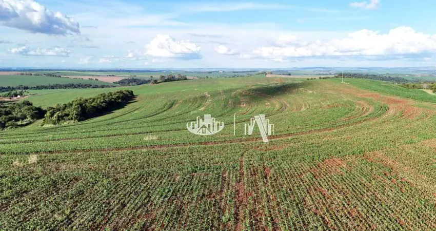 Fazenda à venda, 4065600 m² por r$ 32.000.000,00 - zona rural - cornélio procópio/pr