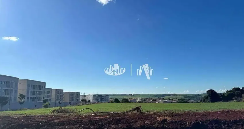 Terreno à venda, 316 m² por R$ 338.000,00 - Jardim dos Estados - Londrina/PR