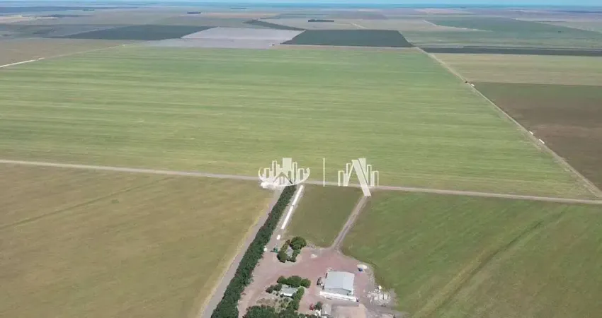 Fazenda à venda, 24850000 m² por r$ 55.575.000,00 - agrovila nova santa rosa - uruçuí/pi