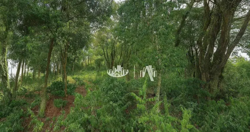 Terreno à venda, 5559 m² por r$ 450.000,00 - chácaras são miguel - londrina/pr