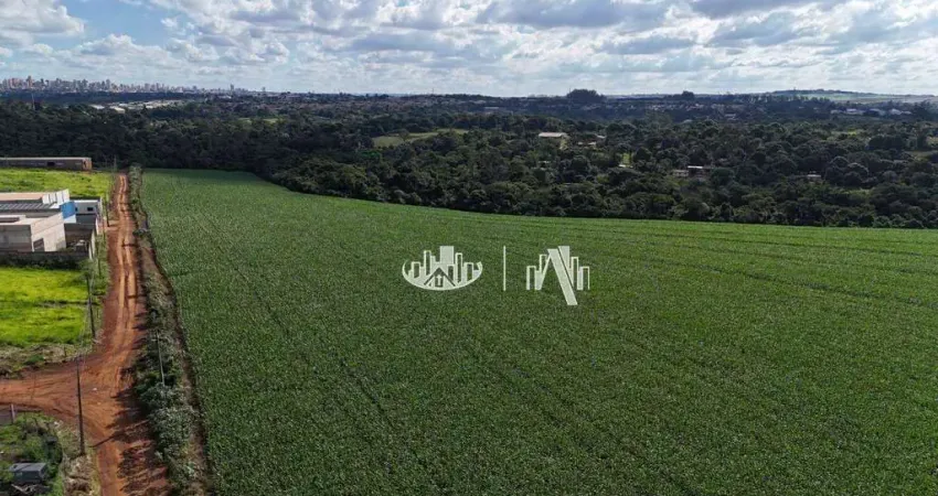 Área à venda, 94767 m² por r$ 5.500.000,00 - parque industrial buena vista - londrina/pr