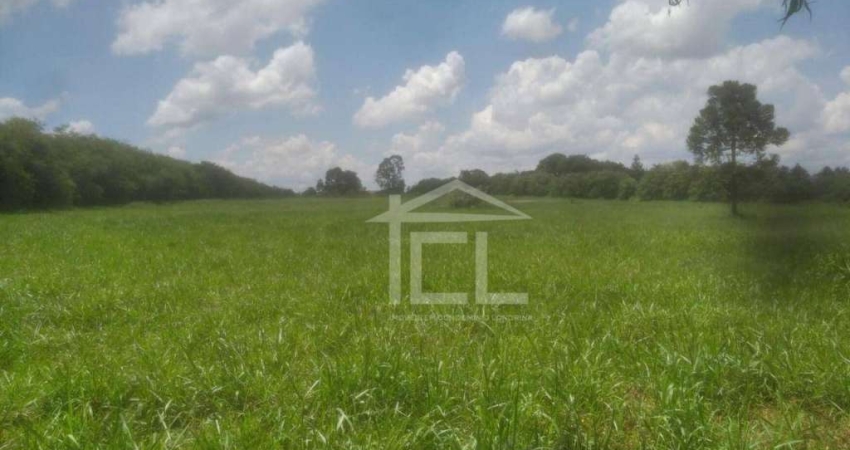 Área à venda, 23040 m² por R$ 2.430.000,00 - Rural - Londrina/PR