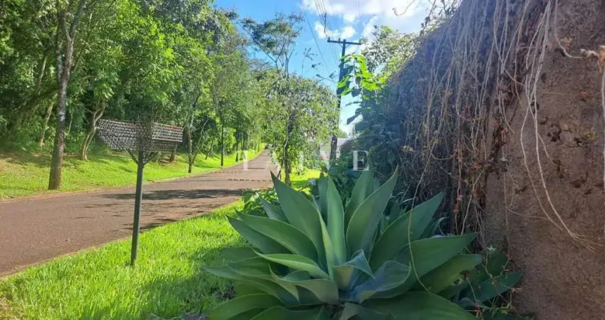 Chácara / sítio à venda na Rua da Floresta, 138, Estância Cabral, Cambé
