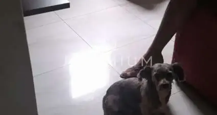 Casa com 3 quartos à venda em Laranjeiras, Uberlândia 