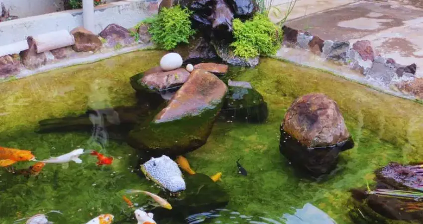 Casa comercial à venda na Avenida Antônio Barbieri, 311, Jardim Nova Aparecida, Jaboticabal