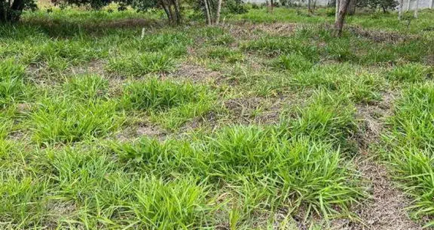 Terreno à venda, 1172 m² por R$ 430.000,00 - Condomínio Reserva Ibirapitanga - Santa Isabel/SP