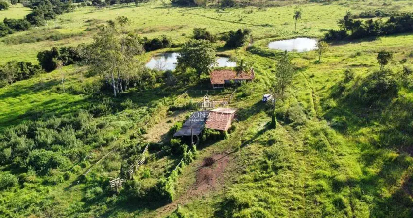 Excelente fazenda no município do prata mg, a 22km da cidade, sentido posto pratão a 110km da cidade de uberlândia. são 105 hectares (21,66 alqueirão)