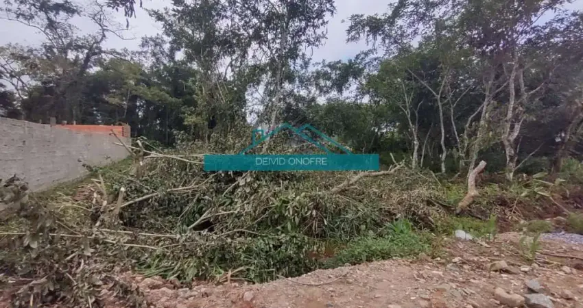 Um terreno localizado no loteamento balneário Havaí em Caraguatatuba perímetro massaguaçu a venda