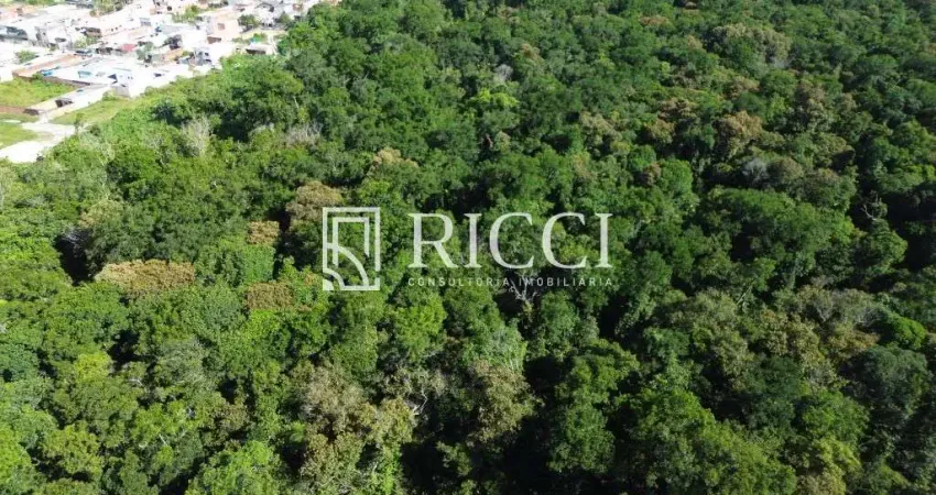 Terreno comercial à venda na Enseada, Guarujá