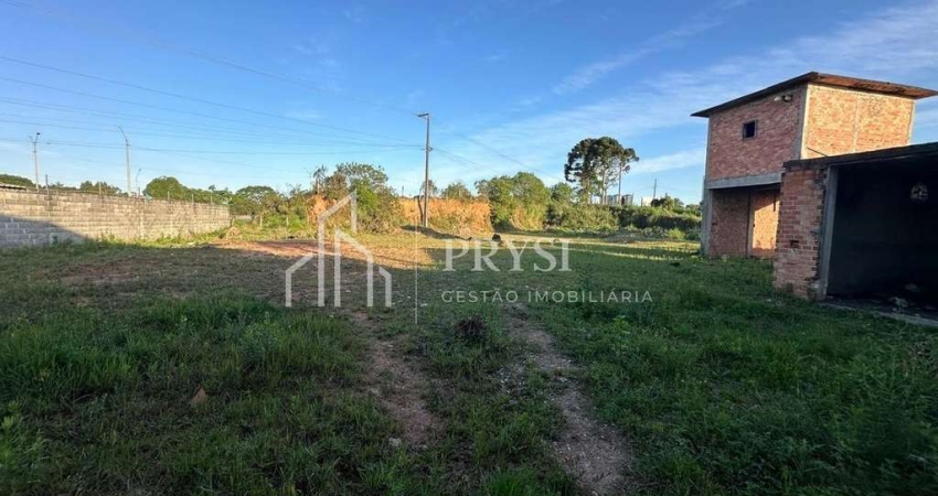 Terreno à venda, 10000 m² por R$ 8.000.000,00 - Miringuava - São José dos Pinhais/PR