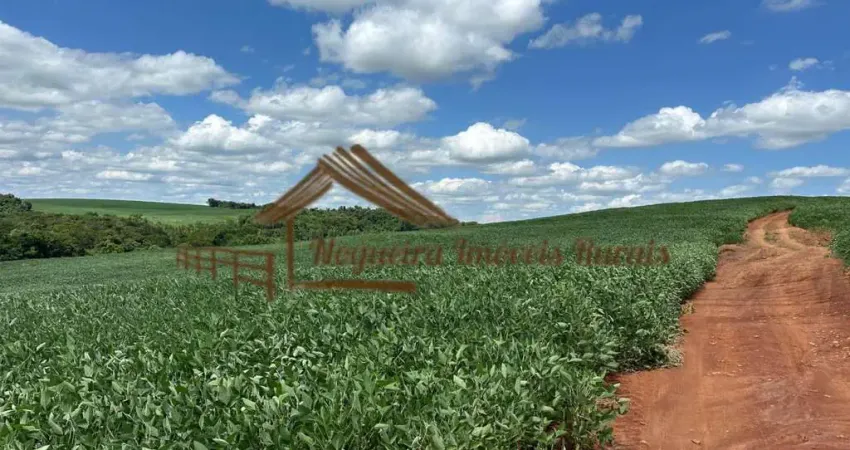 Fazenda à venda no Zona Rural, Guapirama 