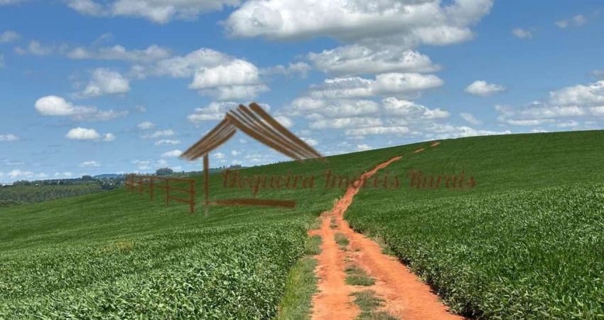 Fazenda à venda no Zona Rural, Guapirama 