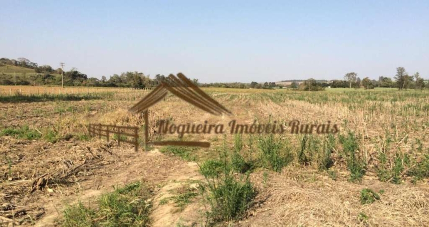 Chácara / sítio à venda na Área Rural, Área Rural de Tatuí, Tatuí