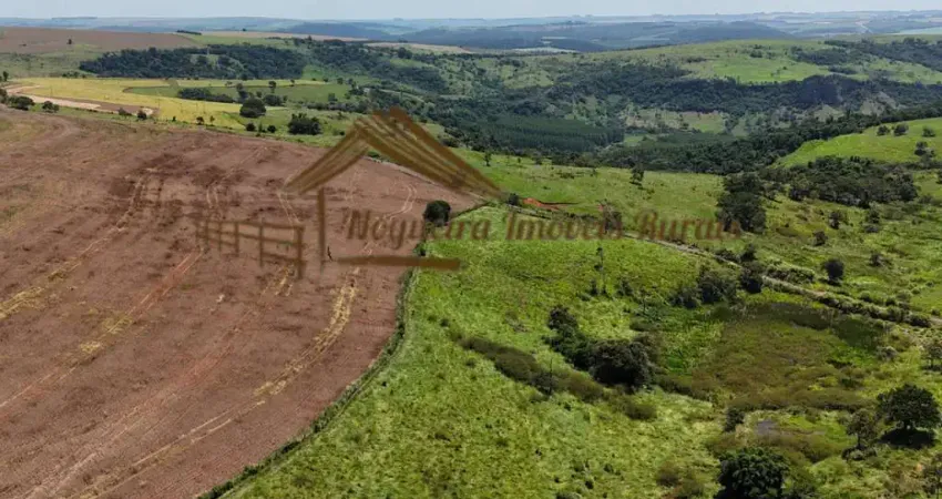 Fazenda à venda na Rua Dona Francisca Leonel, Zona Rural, Piraju