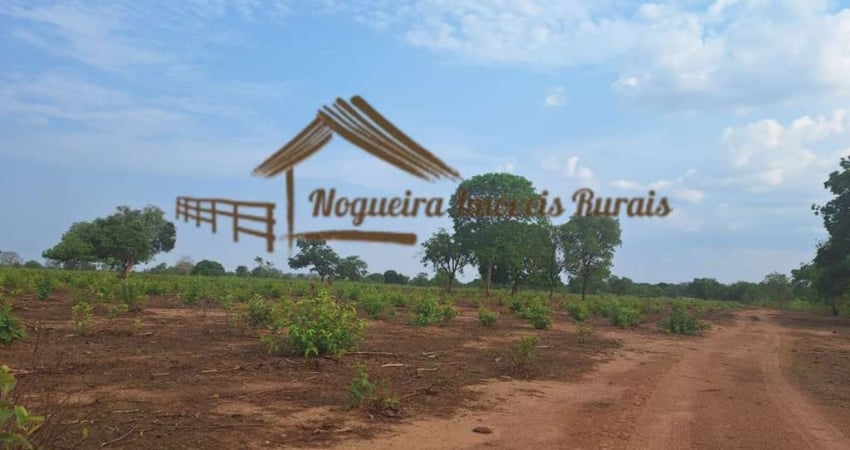 Fazenda à venda na Avenida Vereador Juliano da Costa Marques, Bela Vista, Cuiabá