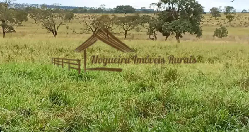 Fazenda à venda na Zona Rural, Cassilândia 