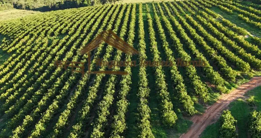 Fazenda à venda na Zona Rural, Ubirajara