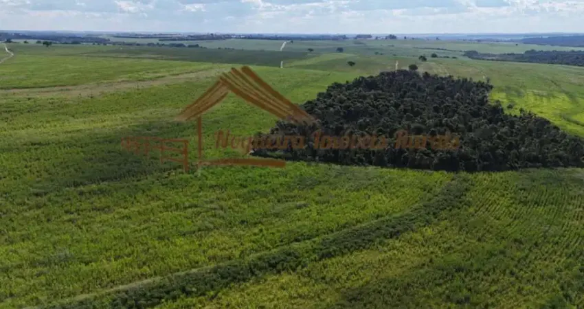 Fazenda à venda na Área Rural, Área Rural de Avaré, Avaré