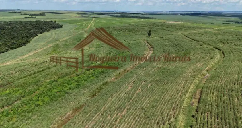 Fazenda à venda na Área Rural, Área Rural de Avaré, Avaré