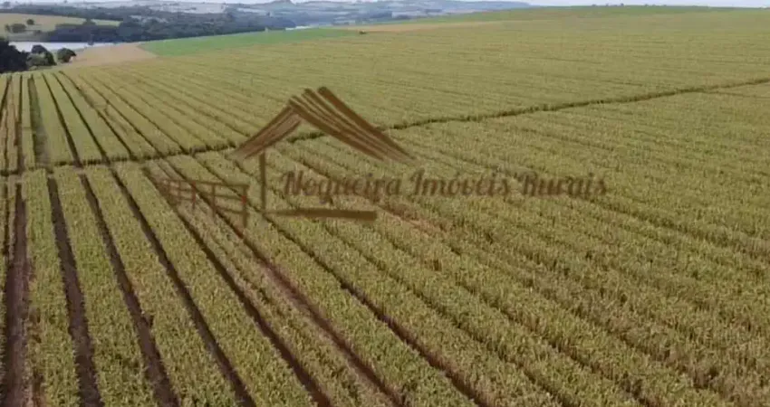 Fazenda para Venda em Avaré, Área Rural de Avaré