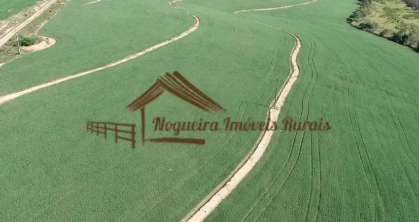 Fazenda à venda na Zona Rural, Porto Feliz