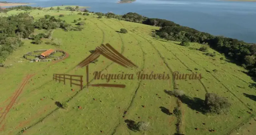 Fazenda à venda na Área Rural de Avaré, Avaré