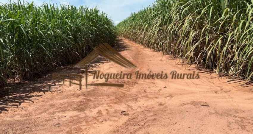 Fazenda para Venda em Cerqueira César, Área Rural de Cerqueira César