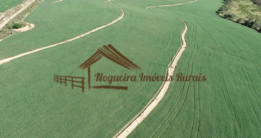 Fazenda para Venda em Porto Feliz, Área Rural de Porto Feliz