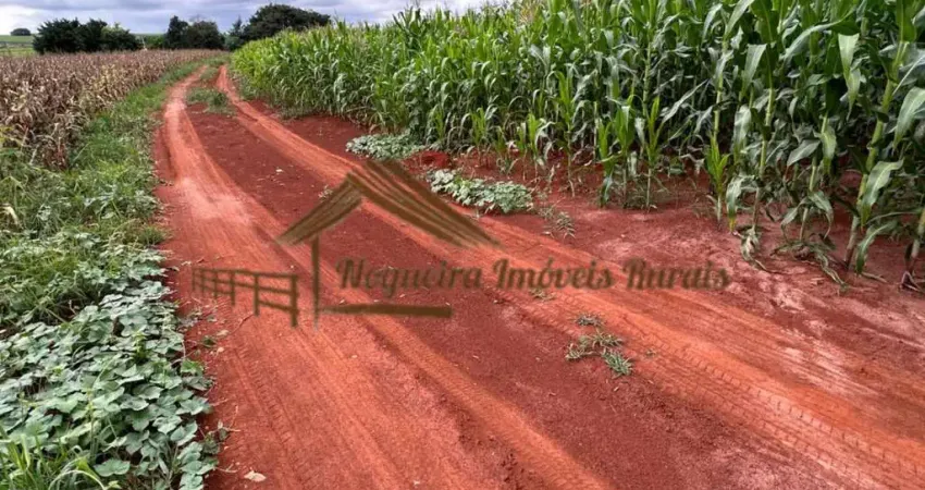 Chácara / sítio à venda na Zona Rural, Cesário Lange 