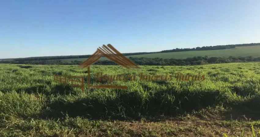 Fazenda à venda na Zona Rural, Jaraguari 